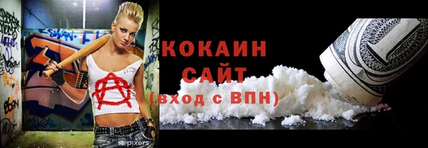 сатива Иннополис