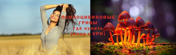 амф Гвардейск