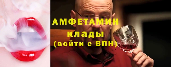 дживик Гатчина