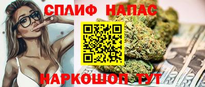 крисы Краснознаменск