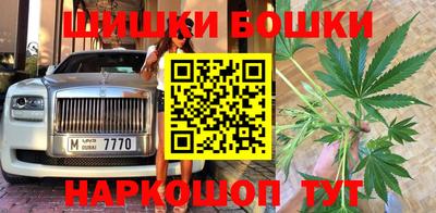крисы Краснознаменск