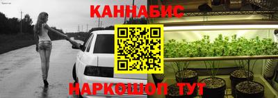крисы Краснознаменск