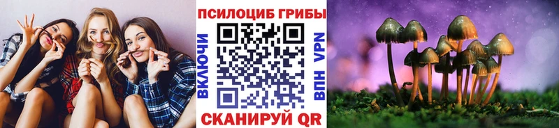Галлюциногенные грибы ЛСД  наркошоп  Зерноград 