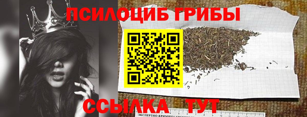 Псилоцибиновые грибы Psilocybe  Псилоцибиновые грибы Psilocybine cubensis  Вход с VPN  Зерноград 