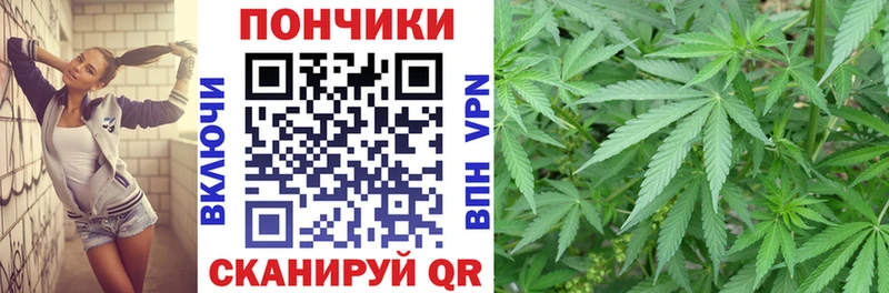 omg ТОР  что такое   Зерноград  Бошки Шишки конопля 